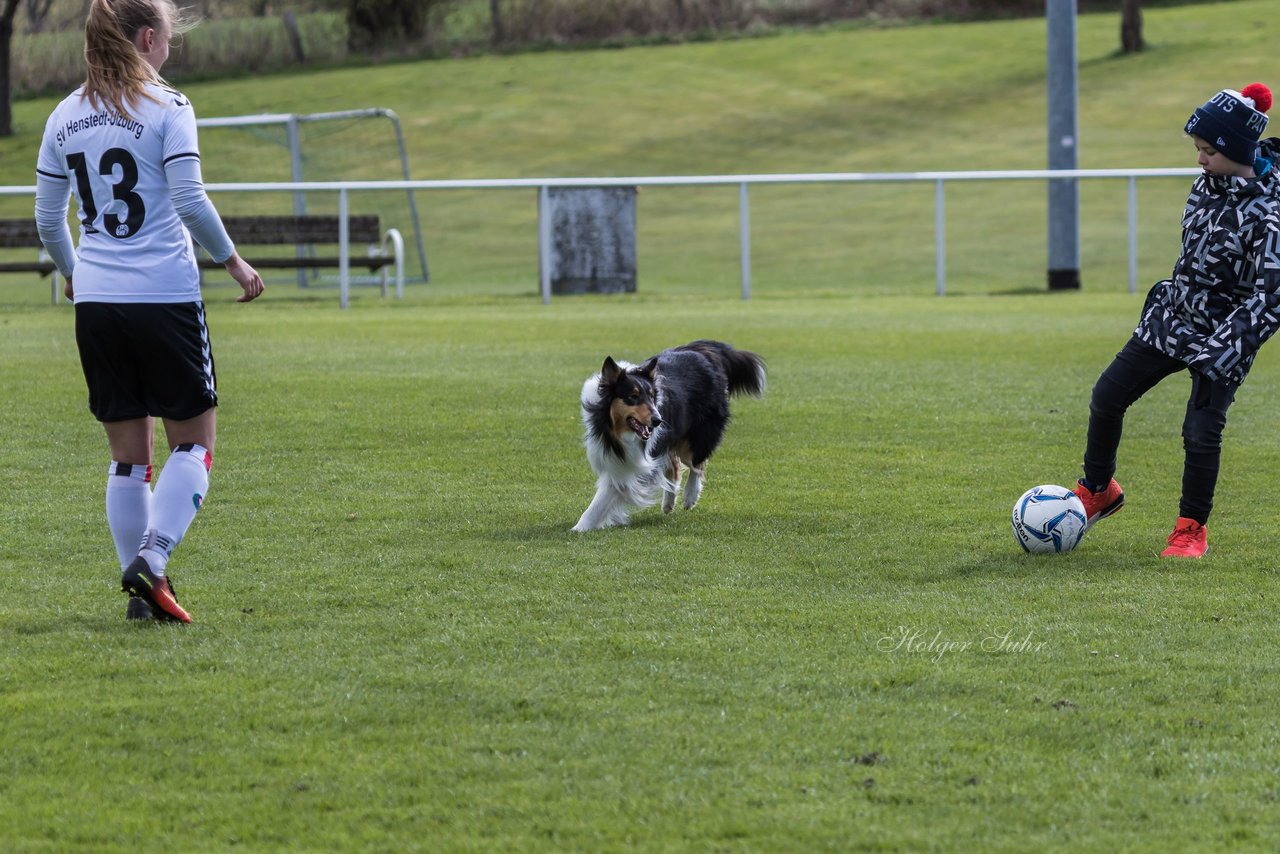 Bild 142 - Frauen SV Henstedt Ulzburg2 : TSV Schoenberg : Ergebnis: Abbruch